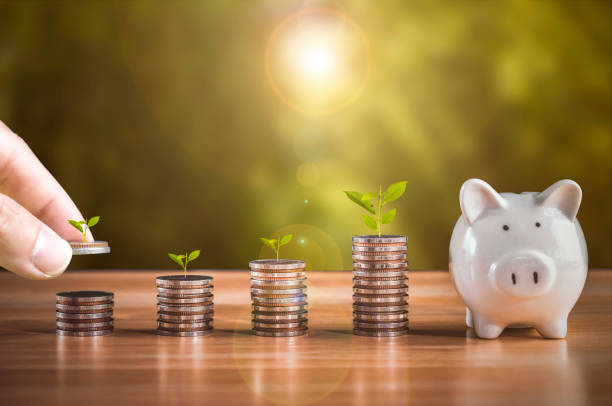 Alcancía junto a pilas de monedas que crecen gradualmente, algunas con plantas, representando la combinación de ahorro e inversión a lo largo del tiempo.