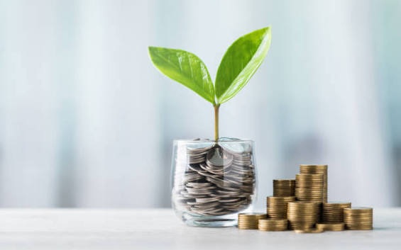Ahorro e inversión representados por monedas y una planta en crecimiento